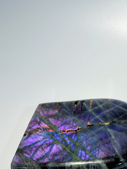 Срез Лабрадора M