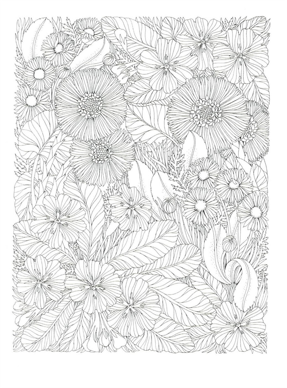 The flower year. Coloring Book (Korea)