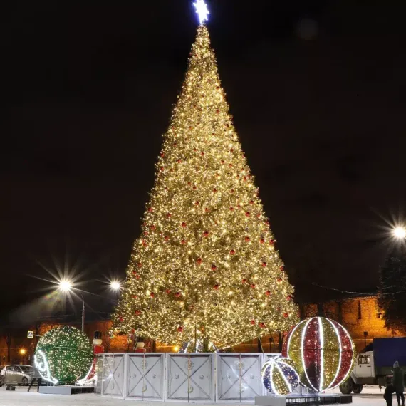 Уличная искусственная светодинамическая елка Альпийская зеленая 5 м., ствольная, ПВХ, Green Trees (GT5APVCLED)