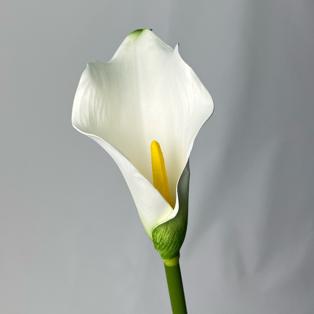 Гортензия премиум ярко-розовая