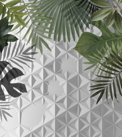 Коллекция GREENDAY