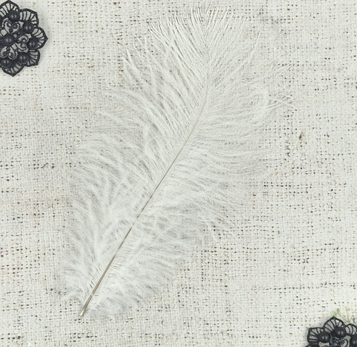 Перо, р. 22х12 см.