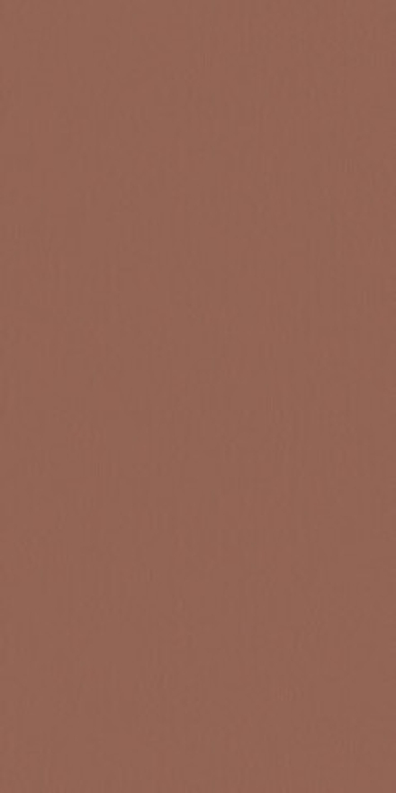 Керамогранит TORNARES ZUMAIA TERRACOTA REC ( под заказ)