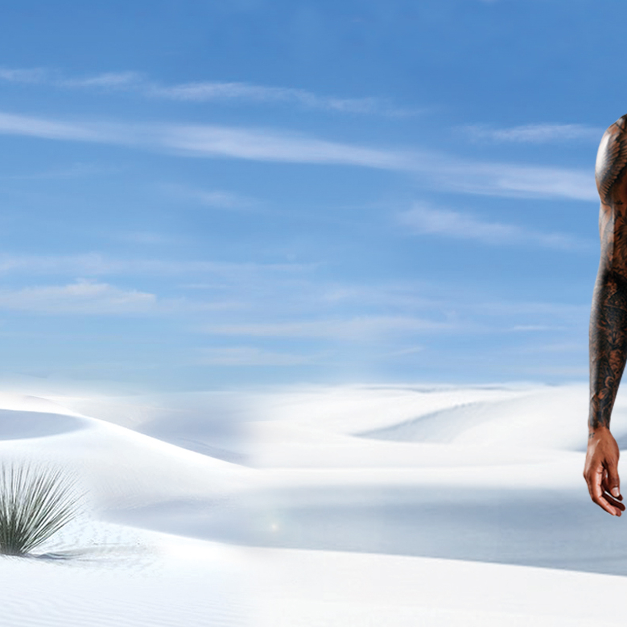 BONITOS | Анатомия комфорта