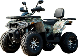 Квадроцикл YAMAHA Shark 300cc