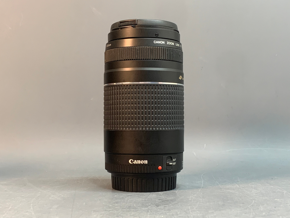 Canon EF 75-300mm 4-5.6 III USM
