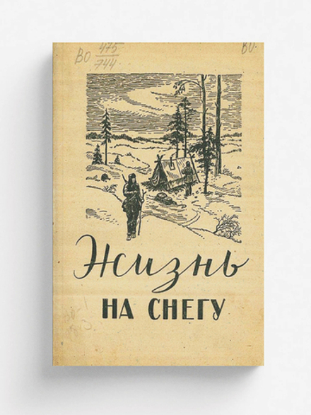 Жизнь на снегу | Нет автора