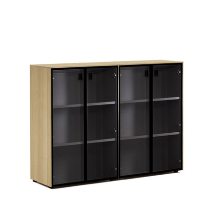 Шкаф-витрина двойной для бумаг RENZ (РЕНЦ)