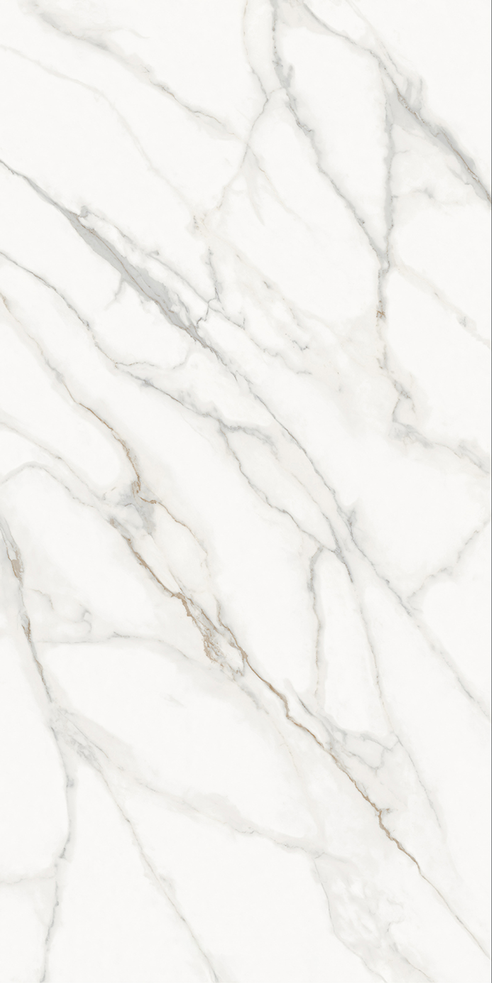 Слэб керамический CALACATTA SUPREME 1600х3200х12мм HONED