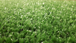 Искусственная трава WUXI LX - 1003 8 мм