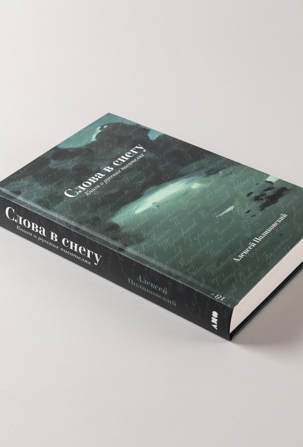 Слова в снегу