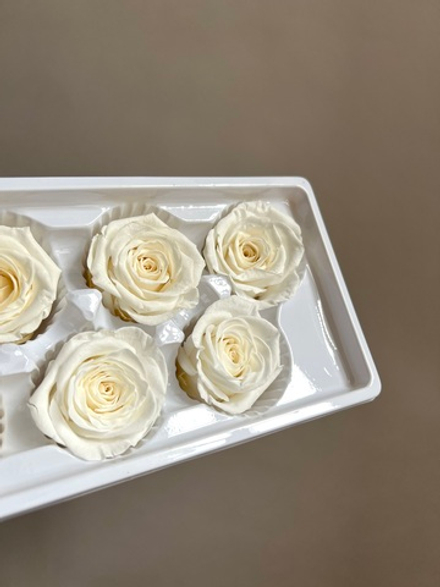 Роза классическая выбеленная d=5 см (упак 6 шт)