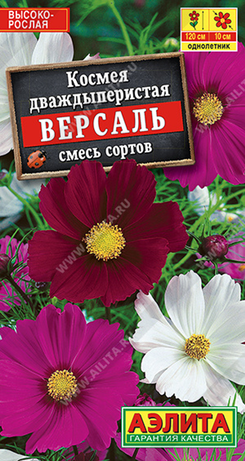 Космея Версаль, смесь сортов