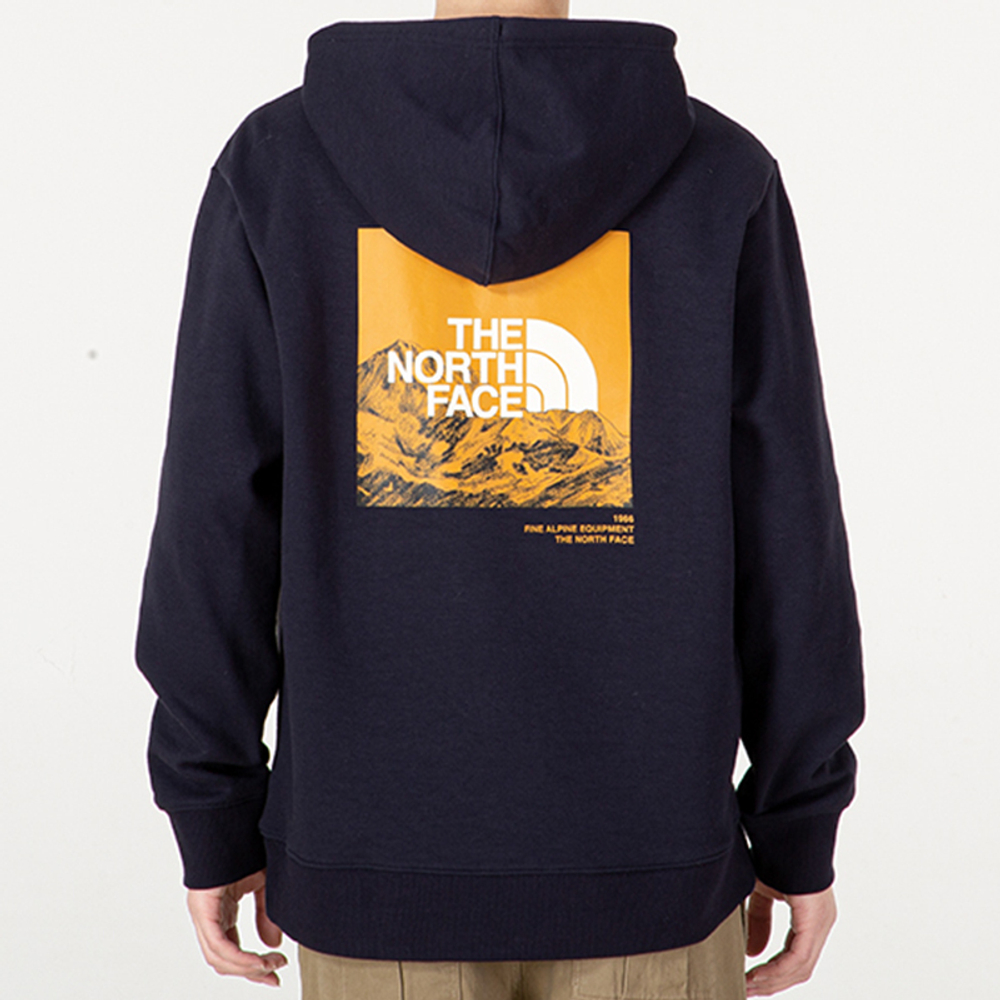 Худи THE NORTH FACE SS22 Logo, NF0A5JZL-RG1