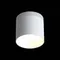 ST102.502.12 Светильник потолочный Белый LED 1*12W 3000K 936Lm Ra>80 120° IP20 D100xH90 170-240V Накладные светильники