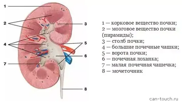 Конкурс для молодых специалистов «3D-дизайн будущего»