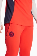 Штаны adidas FC Bayern 25/26 Training Competition - красный