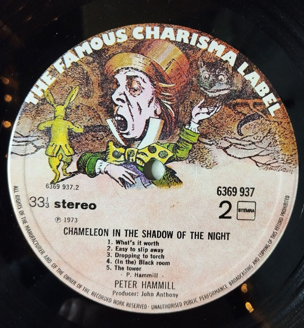 Винтажная виниловая пластинка LP Peter Hammill Chameleon In The Shadow Of The Night (Holland 1973)