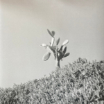 Sylvain Chauveau - Down To The Bone - An Acoustic Tribute to Depeche Mode