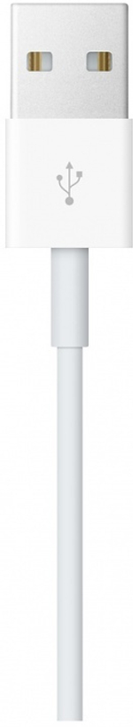 Зарядное устройство Apple Magnetic Charging для Apple Watch 0,3 метра