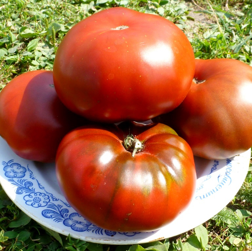 Помидоры Cherokee Chocolate