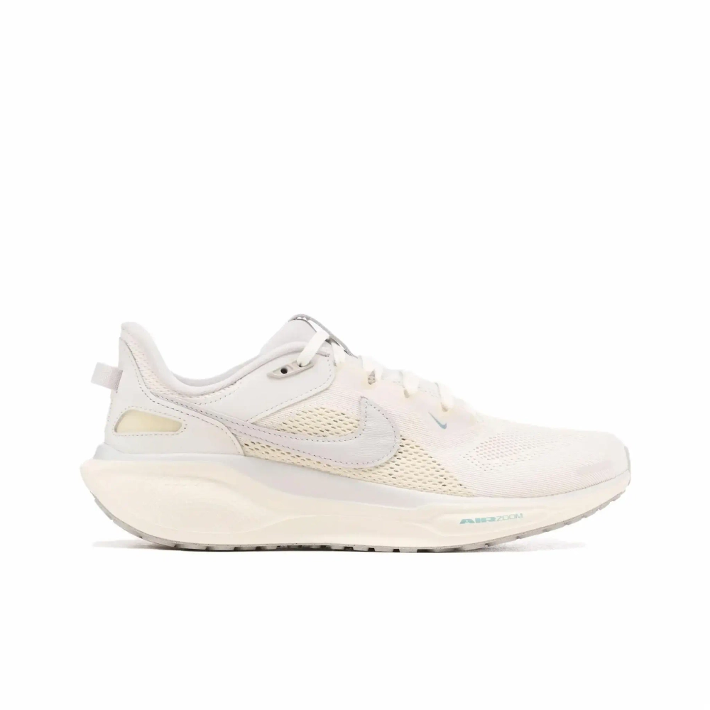 Мужские кроссовки Nike Air Zoom Pegasus 41 SP 'Ivory Coconut Milk' HQ6025-100