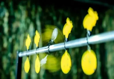 Пневматический тир "Перехват"