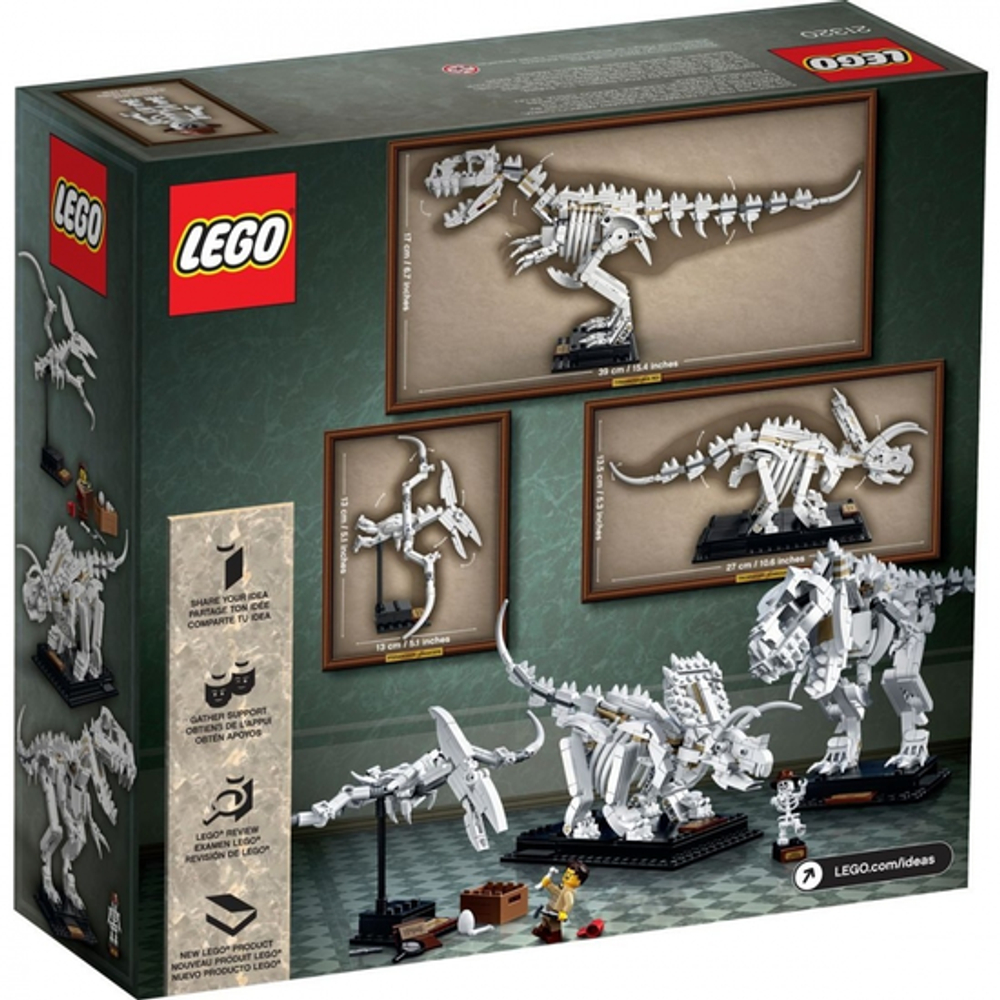 LEGO Ideas: Кости динозавра 21320 — Dinosaur Fossils — Лего Идеи