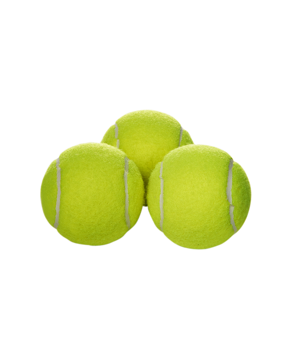 Мяч для большого тенниса Champion Speed 610, 3 шт.