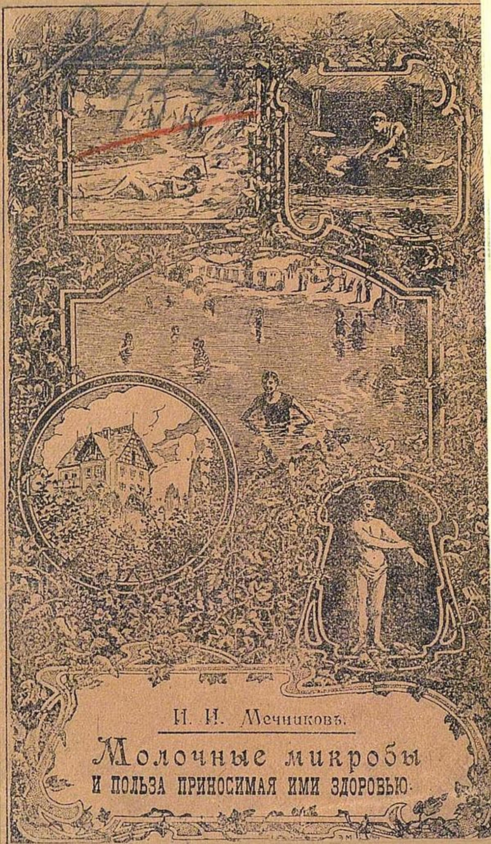 Молочные микробы и польза, приносимая ими здоровью (Ягурт) | Мечников Илья Ильич