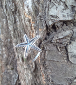 Кольцо МОРСКАЯ ЗВЕЗДА, серебро