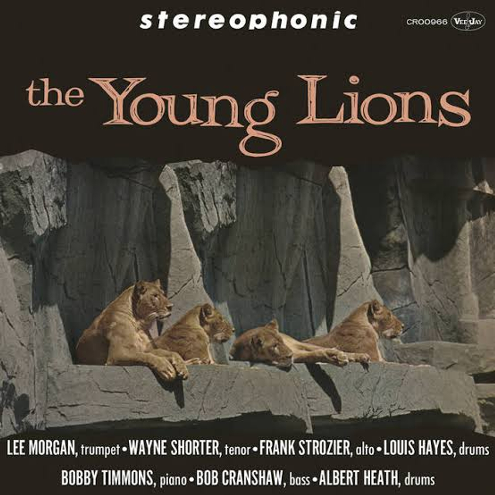 The Young Lions - USA, Craft