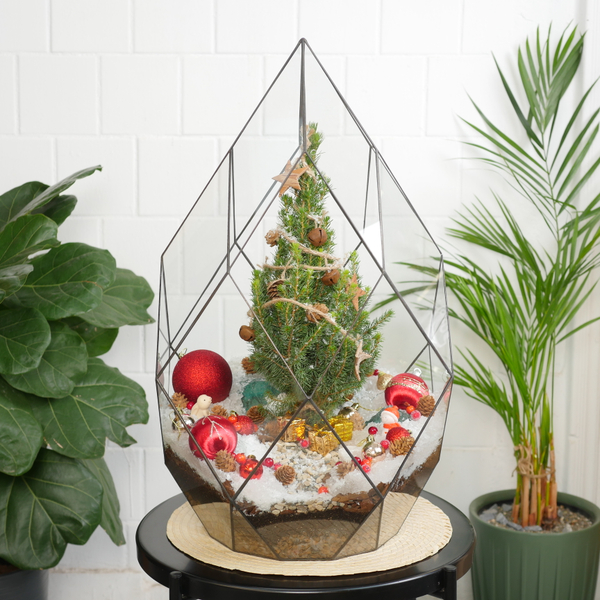 Готовый новогодний флорариум Ель Фаберже