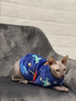 Одежда свитер для сфинксов кошек