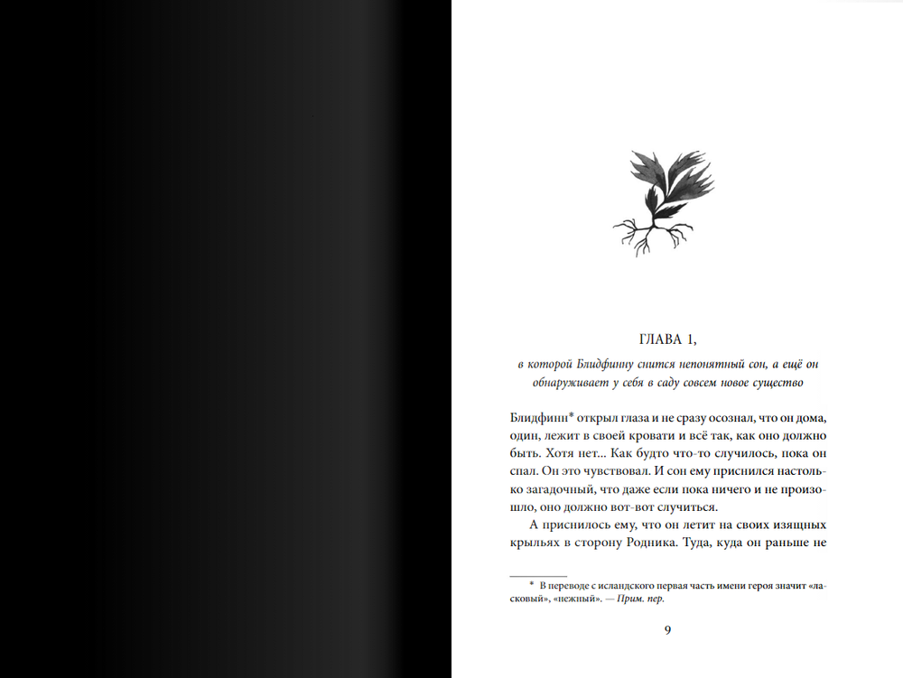 Блидфинн. Четыре путешествия в неизвестность