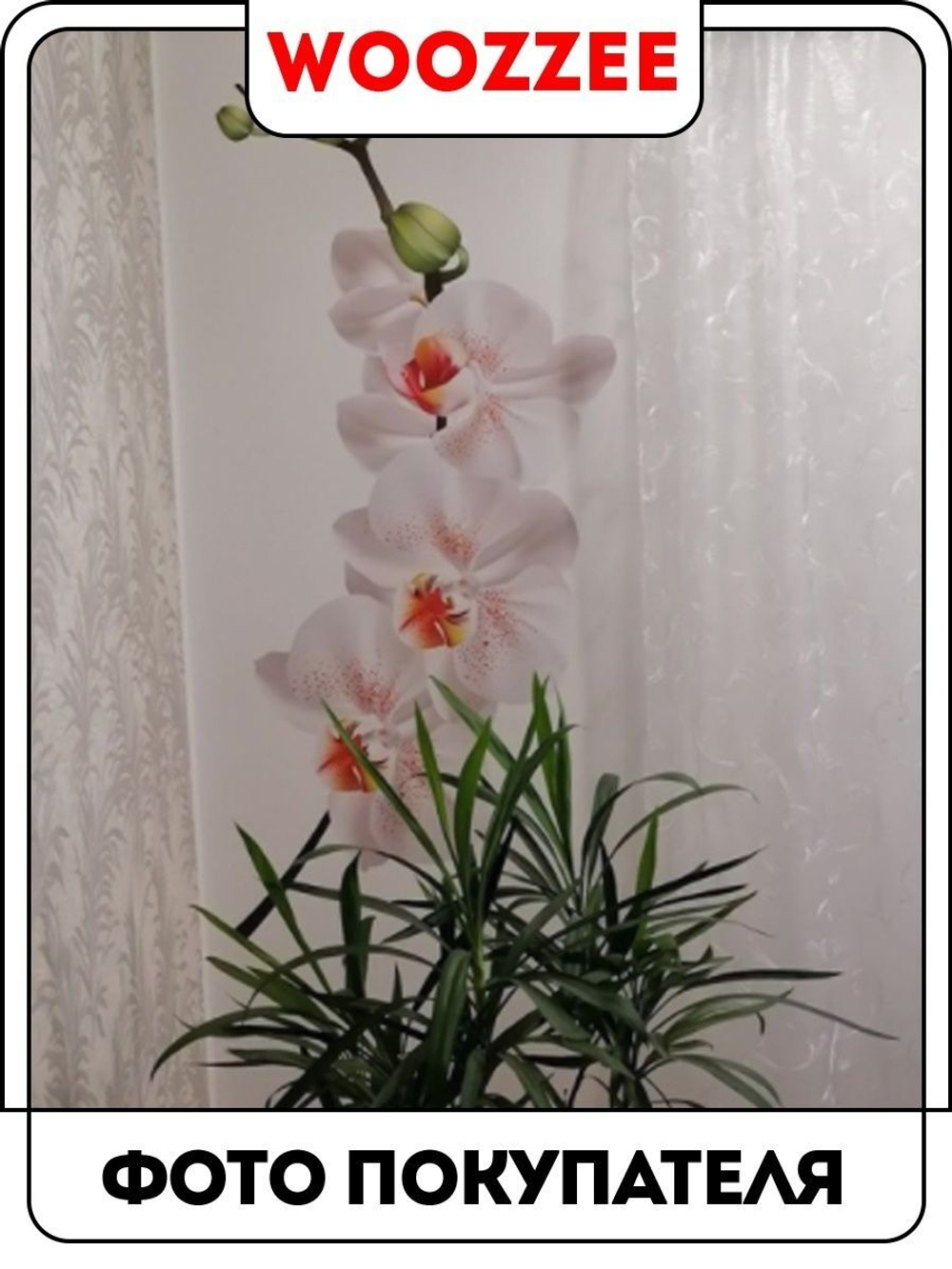 Наклейка декоративная "Ветка белой орхидеи"