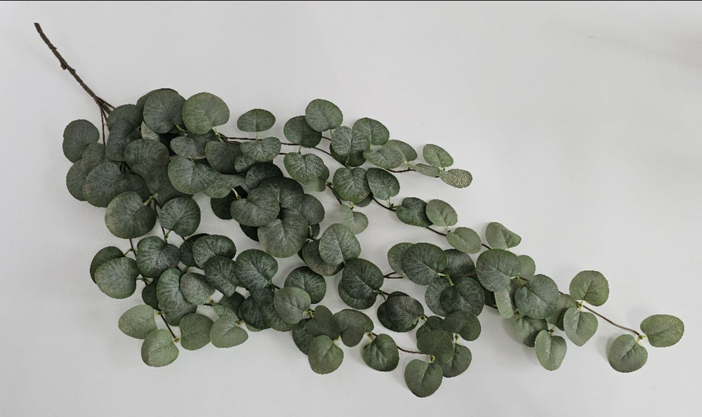 Эвкалипт ампельный / Арт 4422