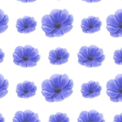 Анемоны акварель