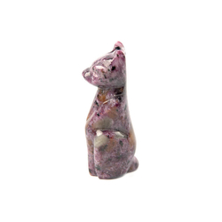 Кошка чароит асс.
