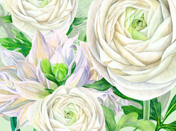 Коллекция GIARDINO