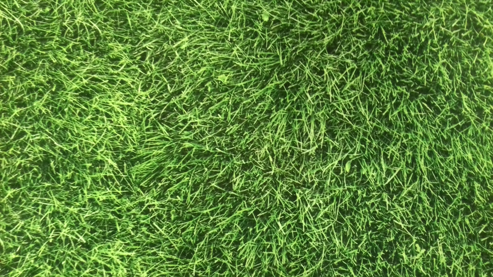 Микровелюр Xpoint (Икспоинт) 0053.01 Сочная трава