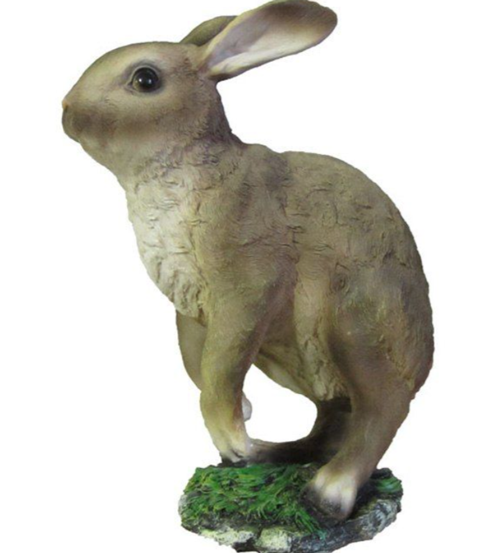 Заяц в траве