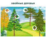 Комплект развивающий Природа: Лиственные деревья. Хвойные деревья. Кустарники 2198