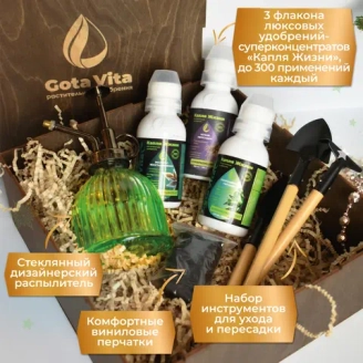 Наборы для растений