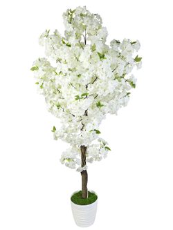 Сакура 170см белая в кашпо