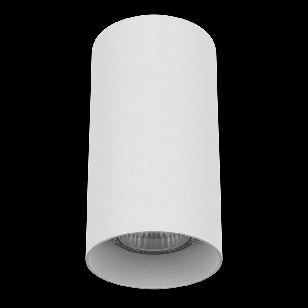 Накладной светильник Lightstar Rullo 216486