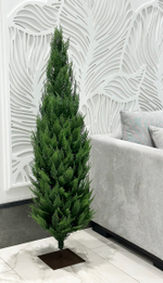 Туя искусственная Западная (Можжевельник)