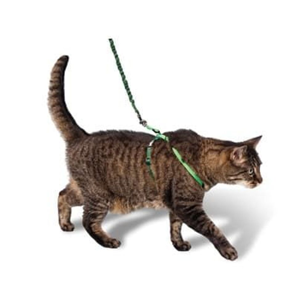 Комплект (Биосфера) №12 д/кошек: поводок + шлея капрон.