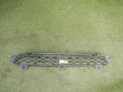 Решетка переднего бампера BMW X3 F25 (2010-2014)