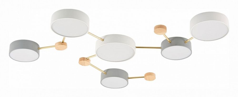 Накладной светильник EVOLUCE Dossena SLE600102-06